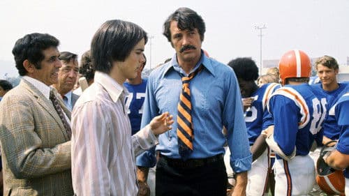 Eine nach der anderen Bild 8