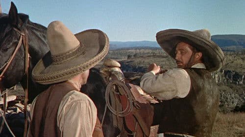 Heiße Grenze Bild 7