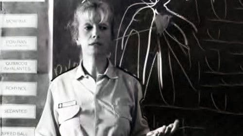 El bonaerense Bild 2