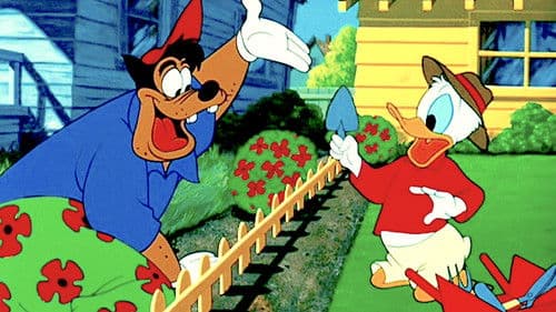 Der neue Nachbar Bild 1