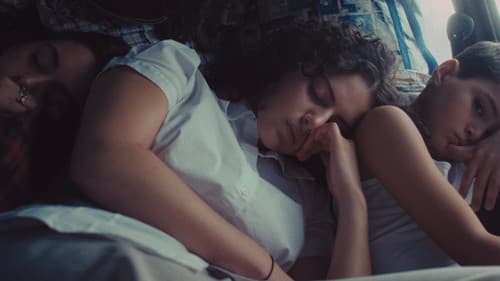 Nach der Sonne Bild 4