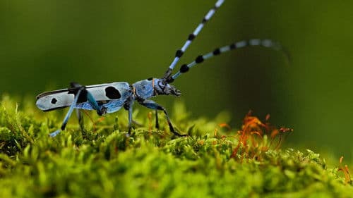 Planeta Česko Bild 2