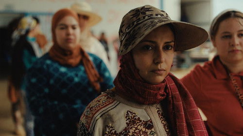 La más dulce Bild 1