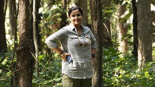 शेरनी Bild 7