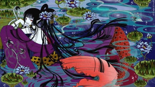 xxxHOLiC Bild 1