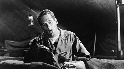 Der Mann aus Philadelphia Bild 2