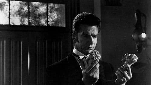 Dark Intruder Bild 1