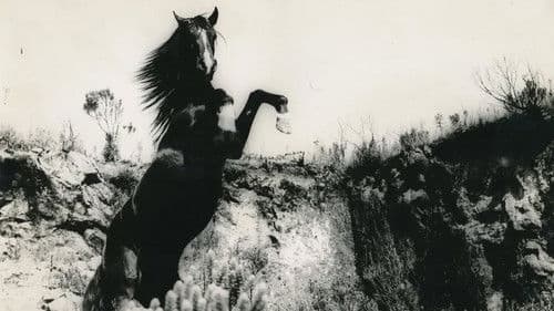 O Corpo Ardente Bild 1