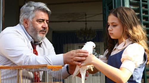 Meine Welt - Benim dünyam Bild 7