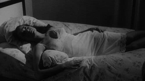 The Nest of the Cuckoo Birds Bild 4