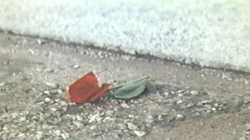 国際線スチュワーデス　官能飛行 Bild 4