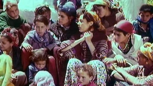 FORBIDDEN ZONE Bild 3