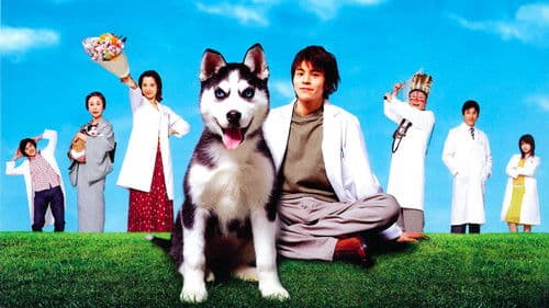 動物のお医者さん Bild 1