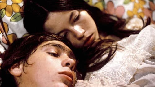 Dusty and Sweets McGee Bild 1