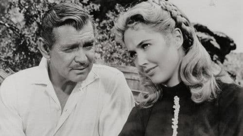 Heißer Süden Bild 4