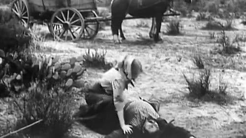 Over Silent Paths Bild 2