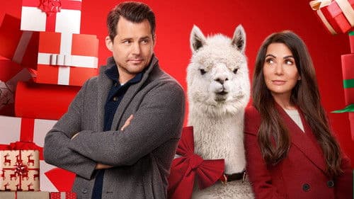 We Wish You a Married Christmas Bild 1