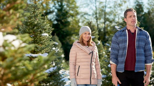 Homegrown Christmas Bild 5