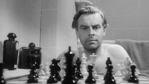 Hide and Seek Bild 1