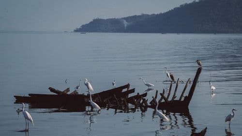 Antes do Último Adeus Bild 1