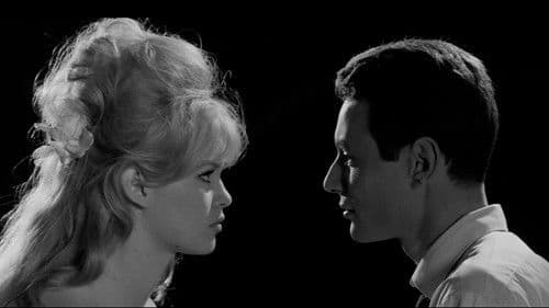 In Freiheit dressiert Bild 2