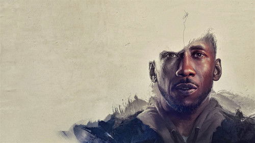 Schwanengesang Bild 4