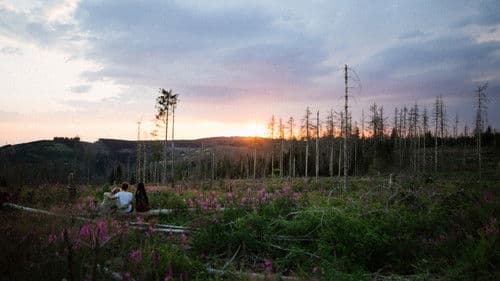 niemand wie ihr Bild 1