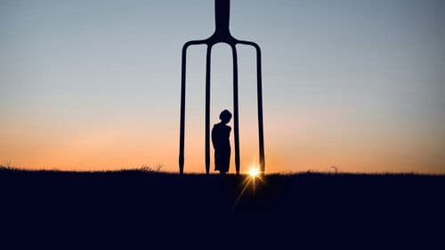 Sins of the Amish Bild 1