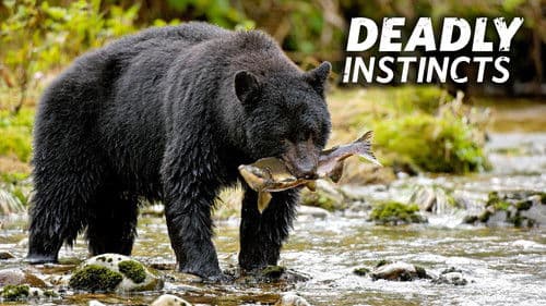 Deadly Instincts Bild 5