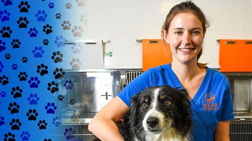 24/7 Pet Hospital Bild 1