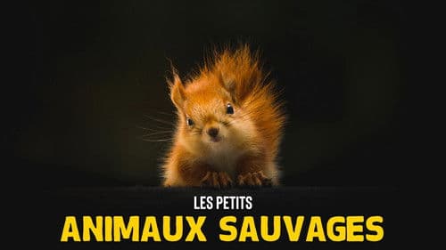 Les Petits Animaux Sauvages Bild 2