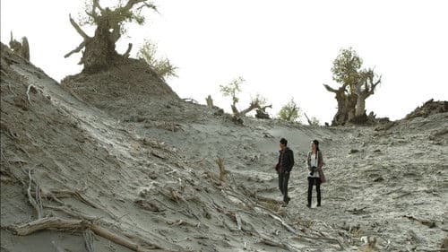 阿凡提和阿瓦提 Bild 3