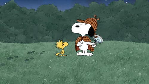 It's a Mystery, Charlie Brown Bild 1