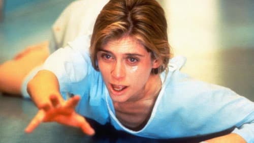 Der Schrei der Taube Bild 3