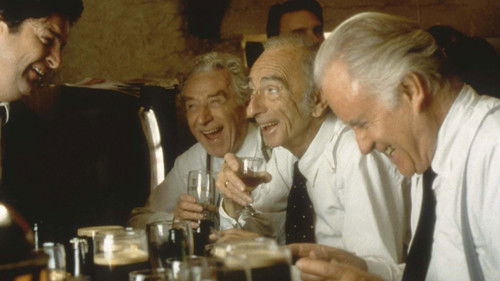 Lang lebe Ned Devine! Bild 8