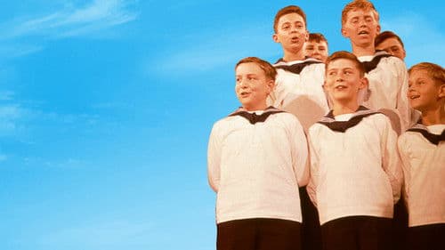 Ein Gruß aus Wien Bild 4