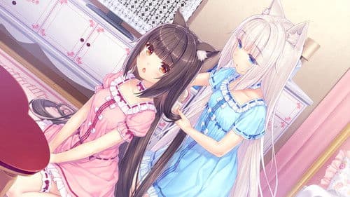 NekoparA Bild 8