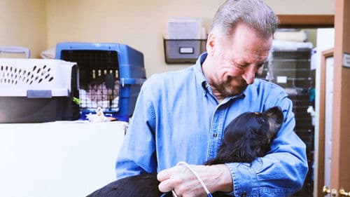 The Wild Life of Dr. Ole Bild 4