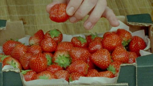 Strawberries Bild 1