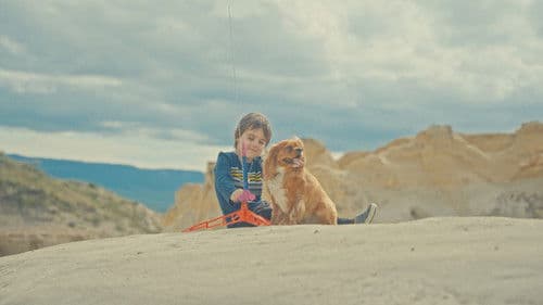 The Bystander Bild 2