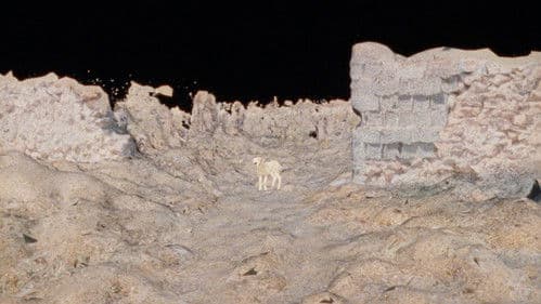 Historia de pastores Bild 4