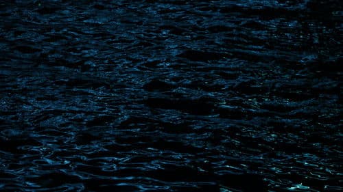 When She Departed Bild 2