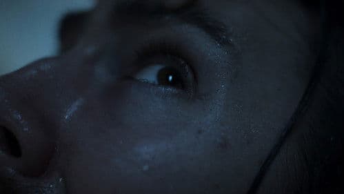 The Dysphoria Bild 2