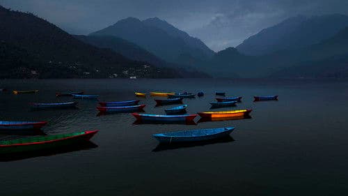 Blue Kangling Bild 5