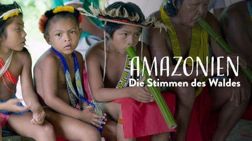 Amazonien - Die Stimmen des Waldes Bild 3