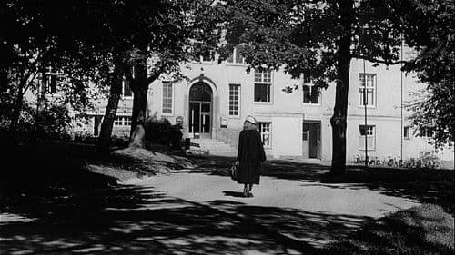 Die Sehnsucht der Frauen Bild 7