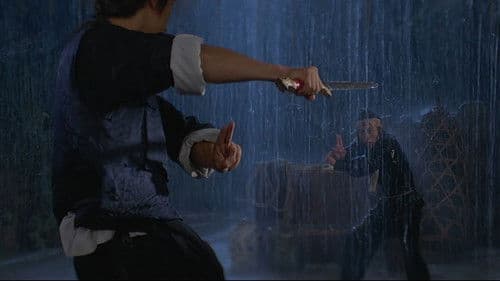 十八般武藝 Bild 2