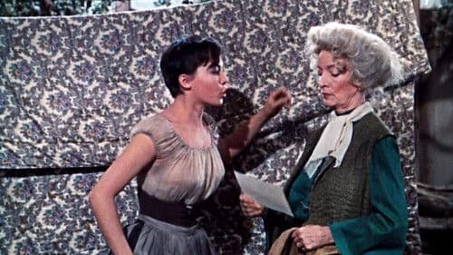 Der gläserne Pantoffel Bild 3