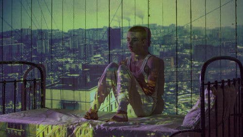 Little Potato Bild 1