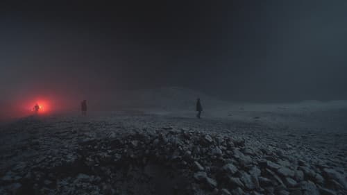 The Funeral: Feed Your Love Bild 2